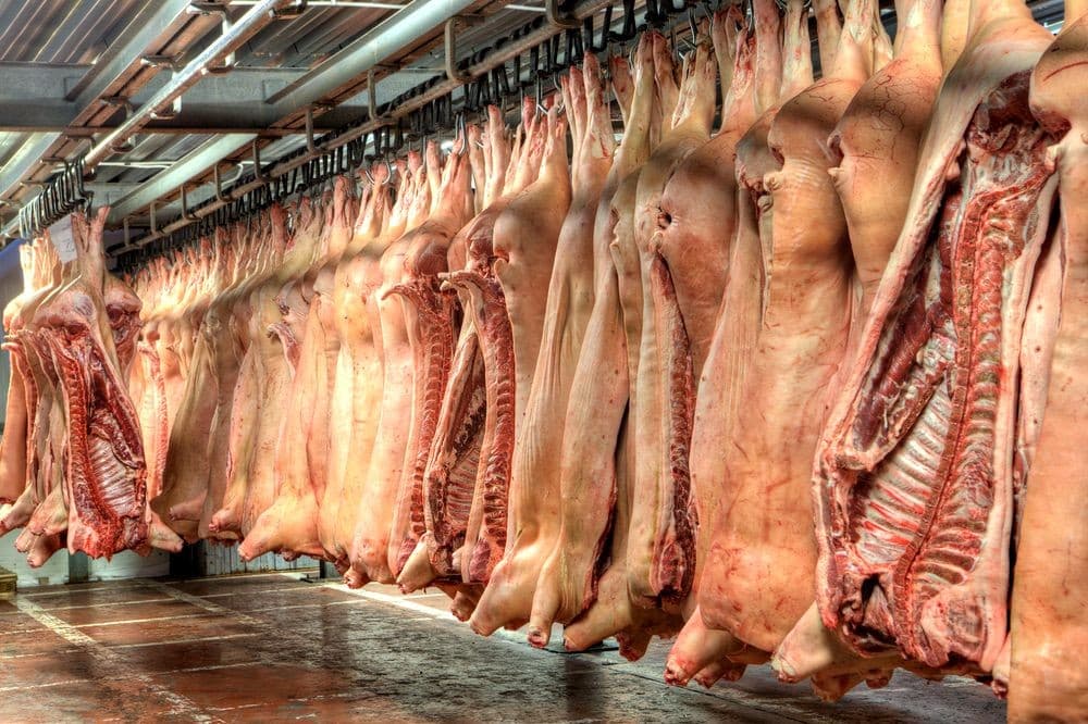 Mangalica vágóhíd