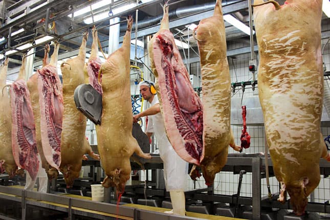 Mangalica vágóhíd